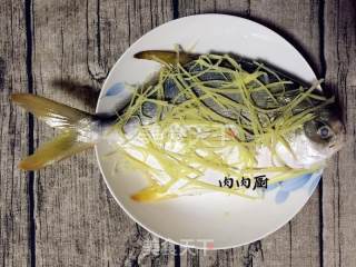 传统粤菜之清蒸金鲳鱼#肉肉厨的做法步骤：4