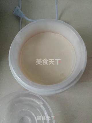 自制老酸奶的做法步骤：2