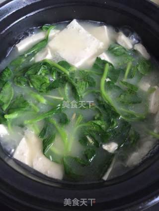 青菜豆腐汤的做法步骤：3