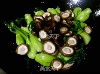 香菇扒菜胆的做法步骤：12