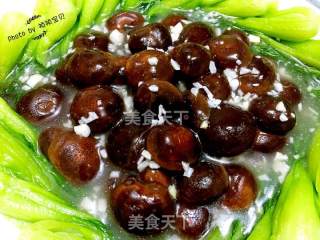 香菇扒菜胆的做法步骤：19