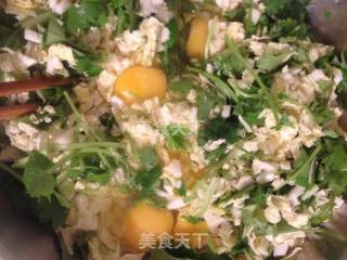娃娃菜鸡蛋盒的做法步骤：5