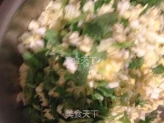 娃娃菜鸡蛋盒的做法步骤：6