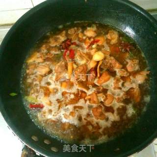 尖椒炒鸭肉的做法步骤：8