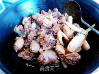 东北炖小鸡的做法步骤：6