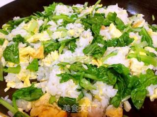 虾仁青菜蛋炒饭的做法步骤：7