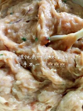 宇宙最Q最鲜小馄饨的做法步骤：2