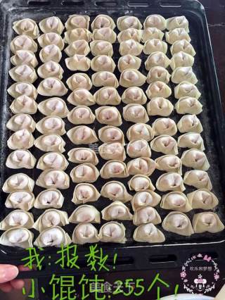 宇宙最Q最鲜小馄饨的做法步骤：4