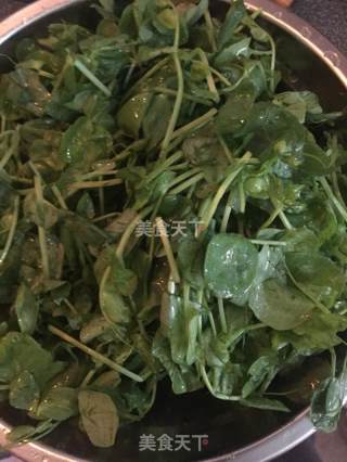 嫩炒豌豆苗的做法步骤：1