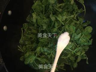 嫩炒豌豆苗的做法步骤：3