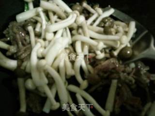 双菇炒肉丝的做法步骤：4