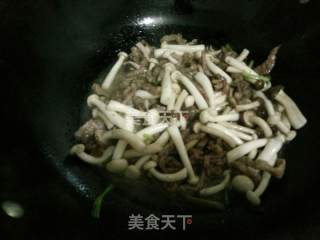 双菇炒肉丝的做法步骤：5