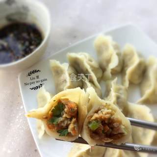 冬瓜猪肉水饺的做法步骤：12