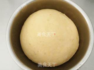 全麦红薯餐包的做法步骤：5