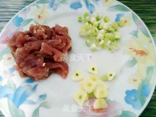 绿豆芽炒肉的做法步骤：4