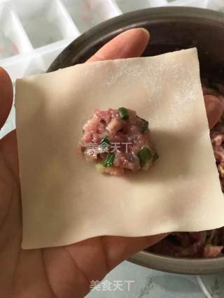 鲜肉抄手的做法步骤：8