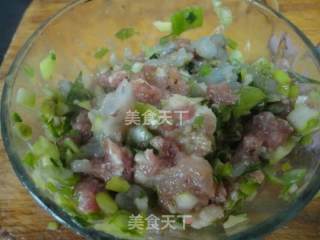 水晶虾饺的做法步骤：4