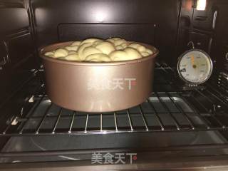 Poolish种（波兰种）圆吐司伪蛋糕的做法步骤：13