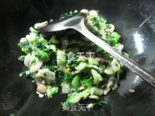 蘑菇炒手捏菜的做法步骤：9