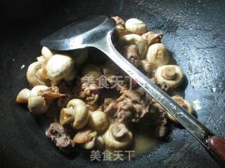 小鸡炖蘑菇的做法步骤：10