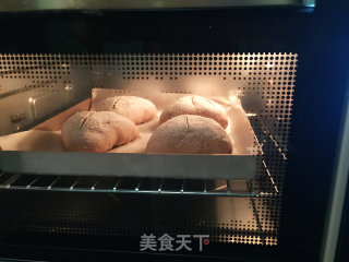 蔓越梅杂粮面包的做法步骤：13