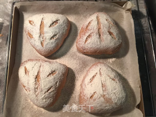 蔓越梅杂粮面包的做法步骤：14