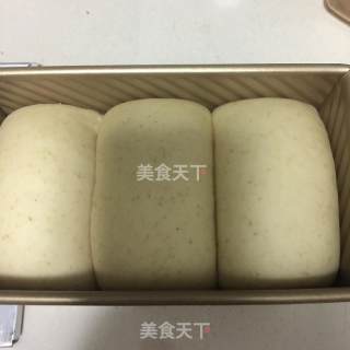 无黄油版北海道吐司（直接法）的做法步骤：5