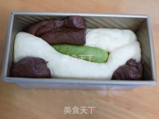 软绵绵三色吐司的做法步骤：6
