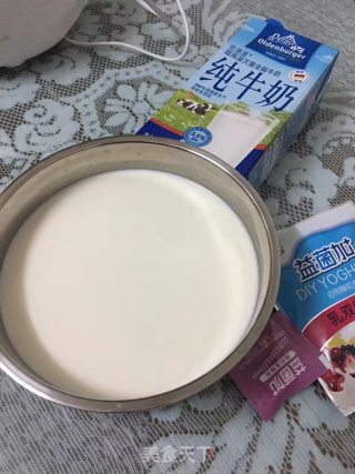 家制酸奶的做法步骤：2