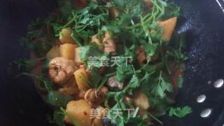 家常大盘鸡的做法步骤：14