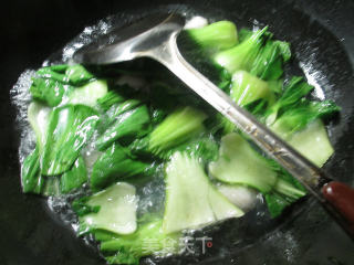 青菜淡贝丸煮粉丝的做法步骤：4