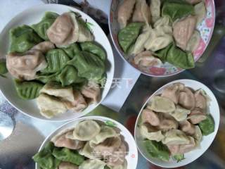 鲅鱼饺子的做法步骤：13