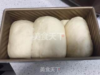 波兰种吐司的做法步骤：10