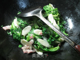 咸肉蒿菜炒茭白的做法步骤：5