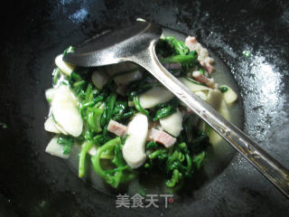 咸肉蒿菜炒茭白的做法步骤：7