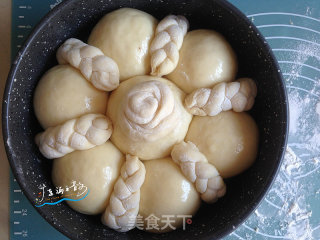 花辫豆沙面包的做法步骤：14