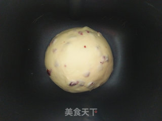 蔓越莓酥粒面包的做法步骤：4