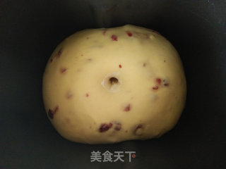蔓越莓酥粒面包的做法步骤：5