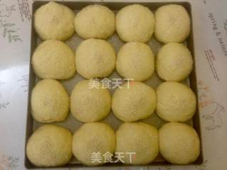 淡奶油椰香肉松软面包的做法步骤：9