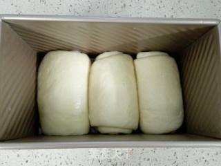 北海道中种吐司（450克）的做法步骤：12