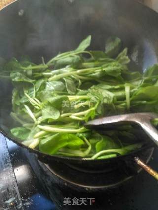 小青菜的做法步骤：3