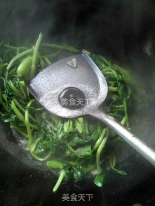 小青菜的做法步骤：5