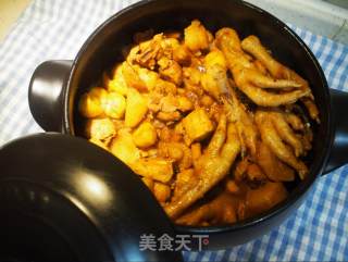 秋季滋补，益气补脾——板栗炖鸡的做法步骤：9
