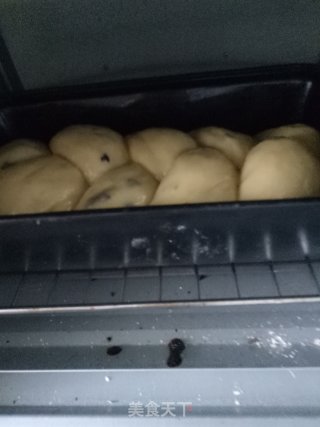 葡萄干辫子面包的做法步骤：10