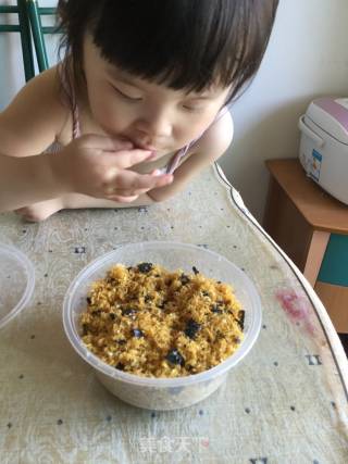 自制宝宝肉松的做法步骤：10