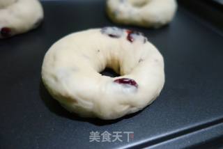 蔓越莓奶酪的做法步骤：10