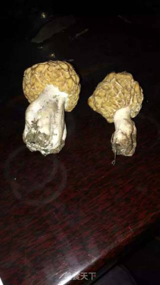 凉拌羊肚菌的做法步骤：1