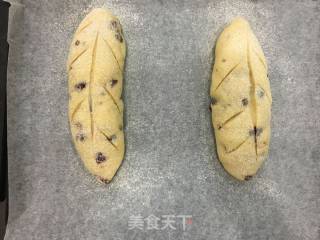 蔓越莓多多乳酪软欧包的做法步骤：9