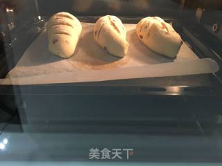 蔓越莓多多乳酪软欧包的做法步骤：10