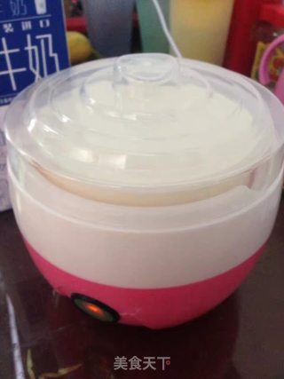 自制好酸奶的做法步骤：4